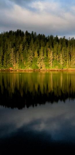 Alaska, USA Wallpaper 1080x2220