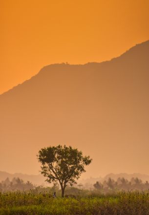 orange sky, mountain Wallpaper 1640x2360