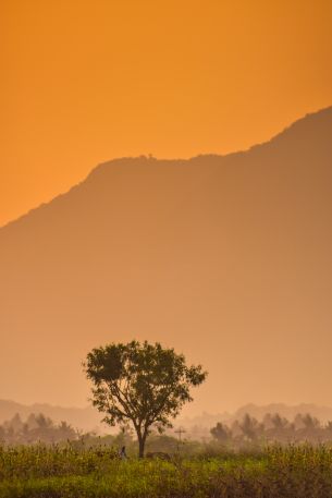 orange sky, mountain Wallpaper 640x960