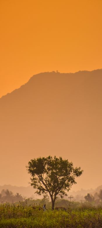 orange sky, mountain Wallpaper 1080x2400