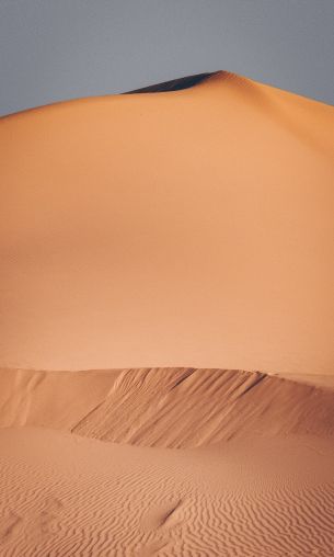 desert, sands Wallpaper 1200x2000