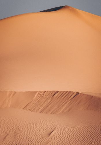desert, sands Wallpaper 1668x2388