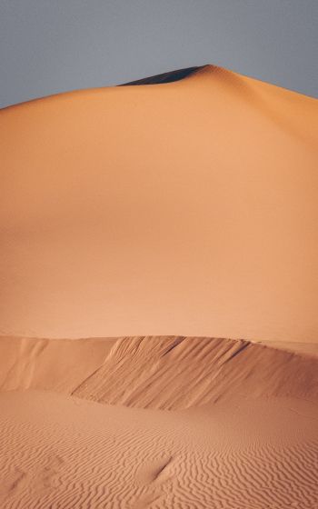 desert, sands Wallpaper 1600x2560