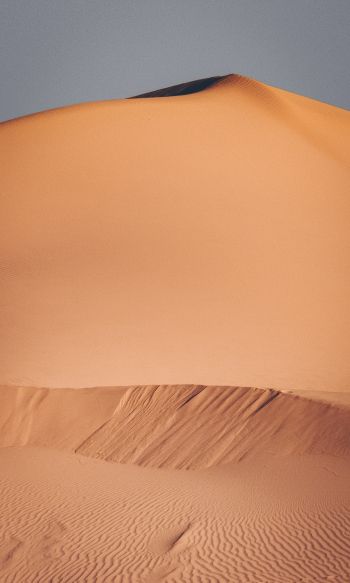 desert, sands Wallpaper 1200x2000