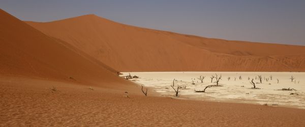 Sossusvlei, Namibia Wallpaper 3440x1440