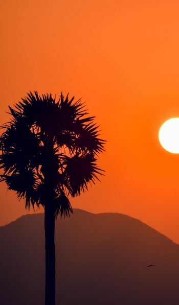 sunset, silhouettes Wallpaper 600x1024