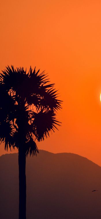 sunset, silhouettes Wallpaper 1080x2340