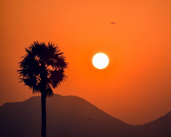 sunset, silhouettes Wallpaper 1280x1024