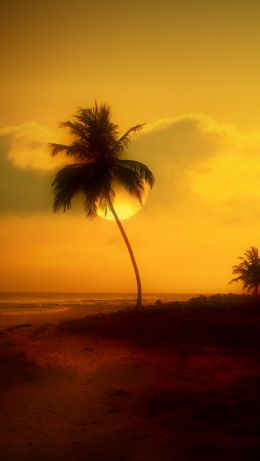 Kavaratti, Lakshadweep, India Wallpaper 640x1136