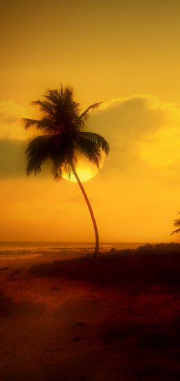 Kavaratti, Lakshadweep, India Wallpaper 1080x2280