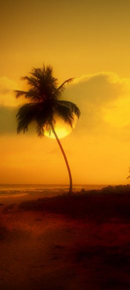 Kavaratti, Lakshadweep, India Wallpaper 1440x3200