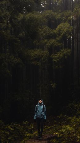 Azores, Portugal Wallpaper 640x1136