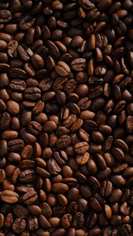 coffee, coffee beans Wallpaper 640x1136