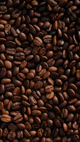 coffee, coffee beans Wallpaper 1440x2560