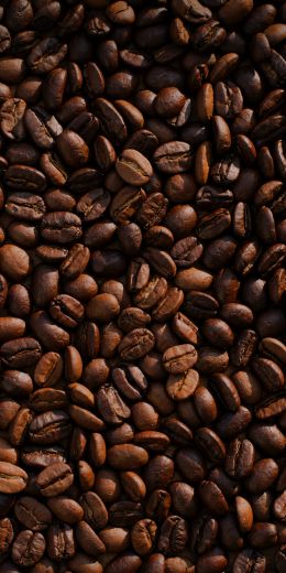 coffee, coffee beans Wallpaper 720x1440