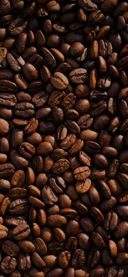 coffee, coffee beans Wallpaper 1170x2532