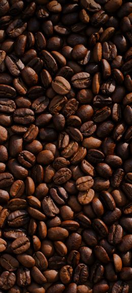 coffee, coffee beans Wallpaper 1080x2400