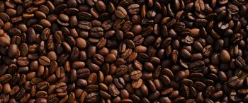 coffee, coffee beans Wallpaper 3440x1440