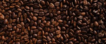 coffee, coffee beans Wallpaper 2560x1080