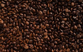 coffee, coffee beans Wallpaper 2560x1600
