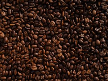 coffee, coffee beans Wallpaper 800x600