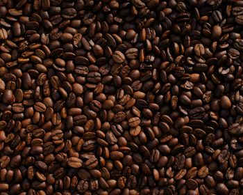 coffee, coffee beans Wallpaper 1280x1024