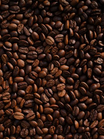 coffee, coffee beans Wallpaper 1536x2048