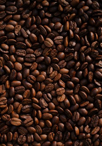 coffee, coffee beans Wallpaper 1668x2388