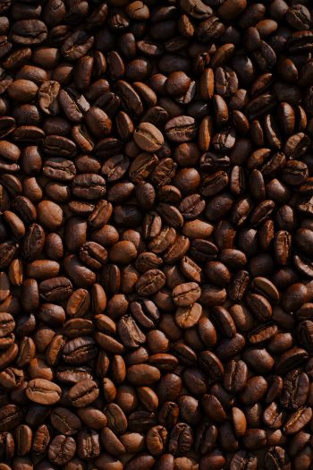 coffee, coffee beans Wallpaper 640x960