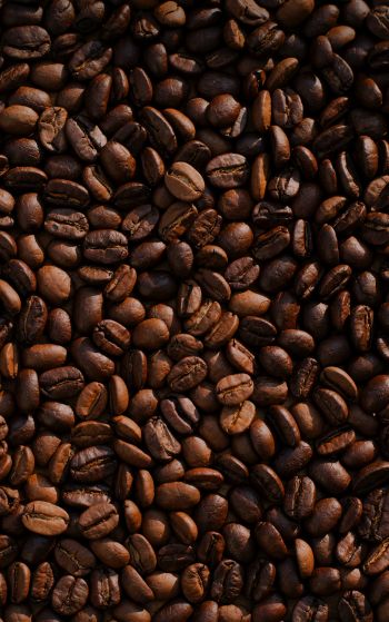 coffee, coffee beans Wallpaper 1752x2800