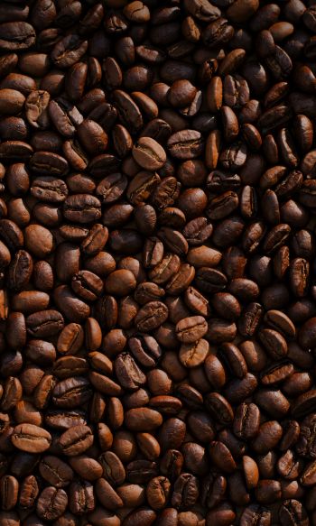 coffee, coffee beans Wallpaper 1200x2000