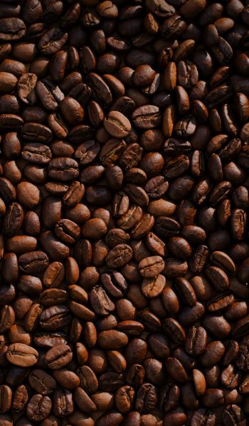 coffee, coffee beans Wallpaper 600x1024