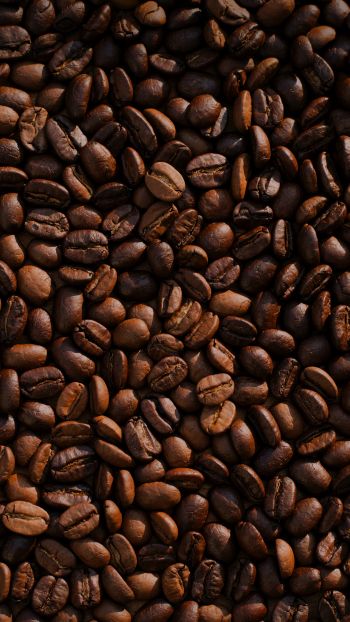 coffee, coffee beans Wallpaper 750x1334