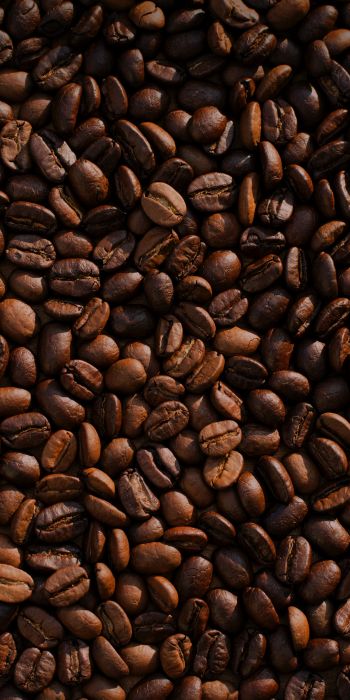 coffee, coffee beans Wallpaper 720x1440