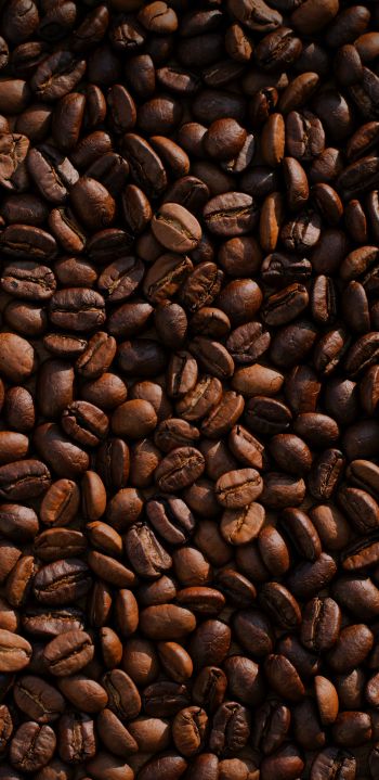 coffee, coffee beans Wallpaper 1440x2960