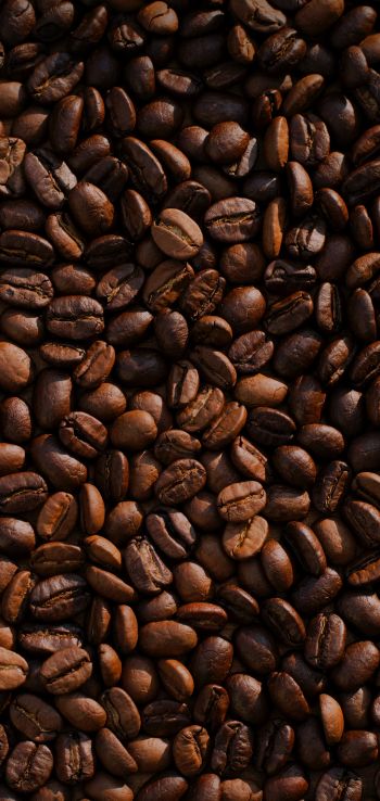 coffee, coffee beans Wallpaper 720x1520