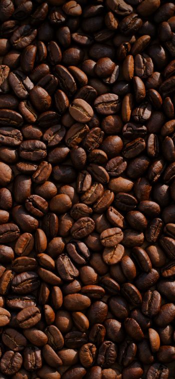 coffee, coffee beans Wallpaper 1080x2340