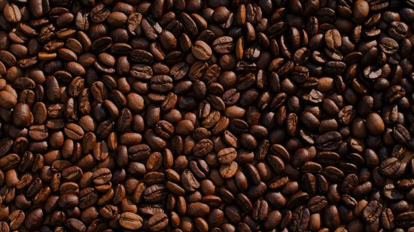 coffee, coffee beans Wallpaper 3840x2160