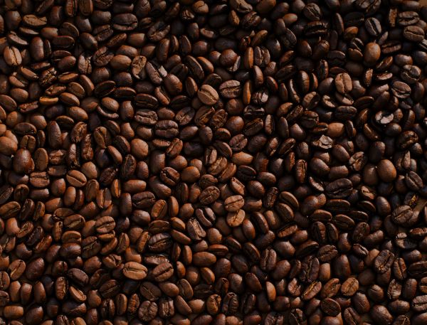coffee, coffee beans Wallpaper 4889x3728