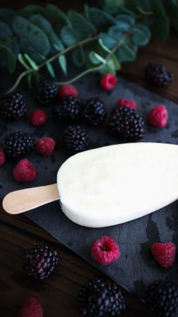 raspberries, blackberry, ice cream Wallpaper 1440x2560