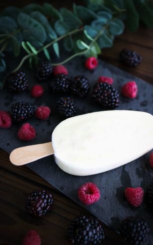 raspberries, blackberry, ice cream Wallpaper 1752x2800