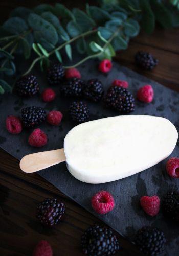raspberries, blackberry, ice cream Wallpaper 1668x2388
