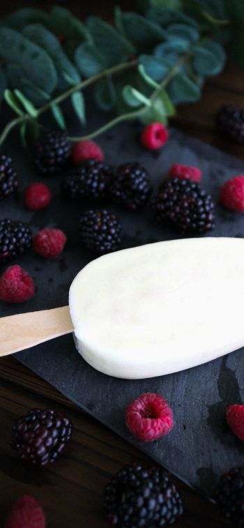 raspberries, blackberry, ice cream Wallpaper 828x1792