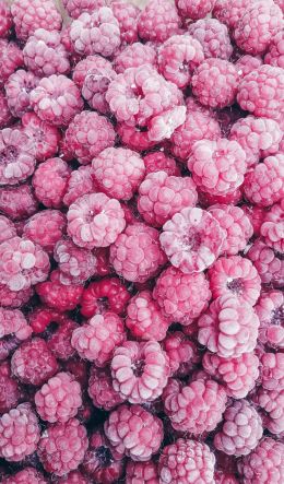 raspberries, berry Wallpaper 600x1024