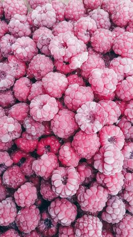 raspberries, berry Wallpaper 2160x3840