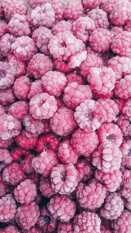 raspberries, berry Wallpaper 1080x1920