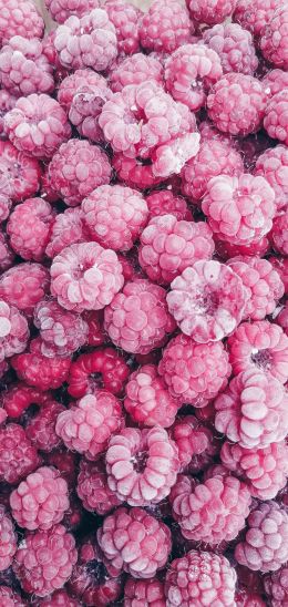 raspberries, berry Wallpaper 1440x3040