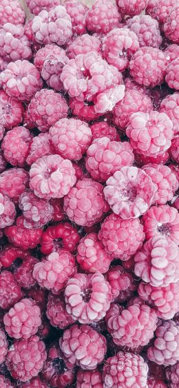 raspberries, berry Wallpaper 1080x2340
