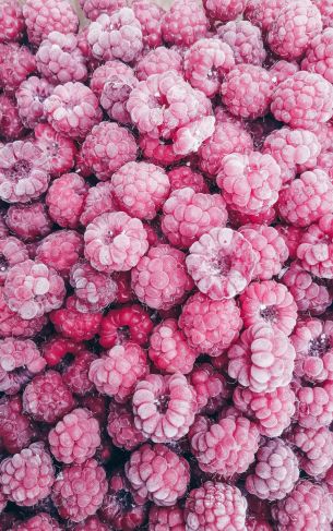 raspberries, berry Wallpaper 1752x2800