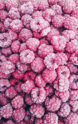 raspberries, berry Wallpaper 800x1280